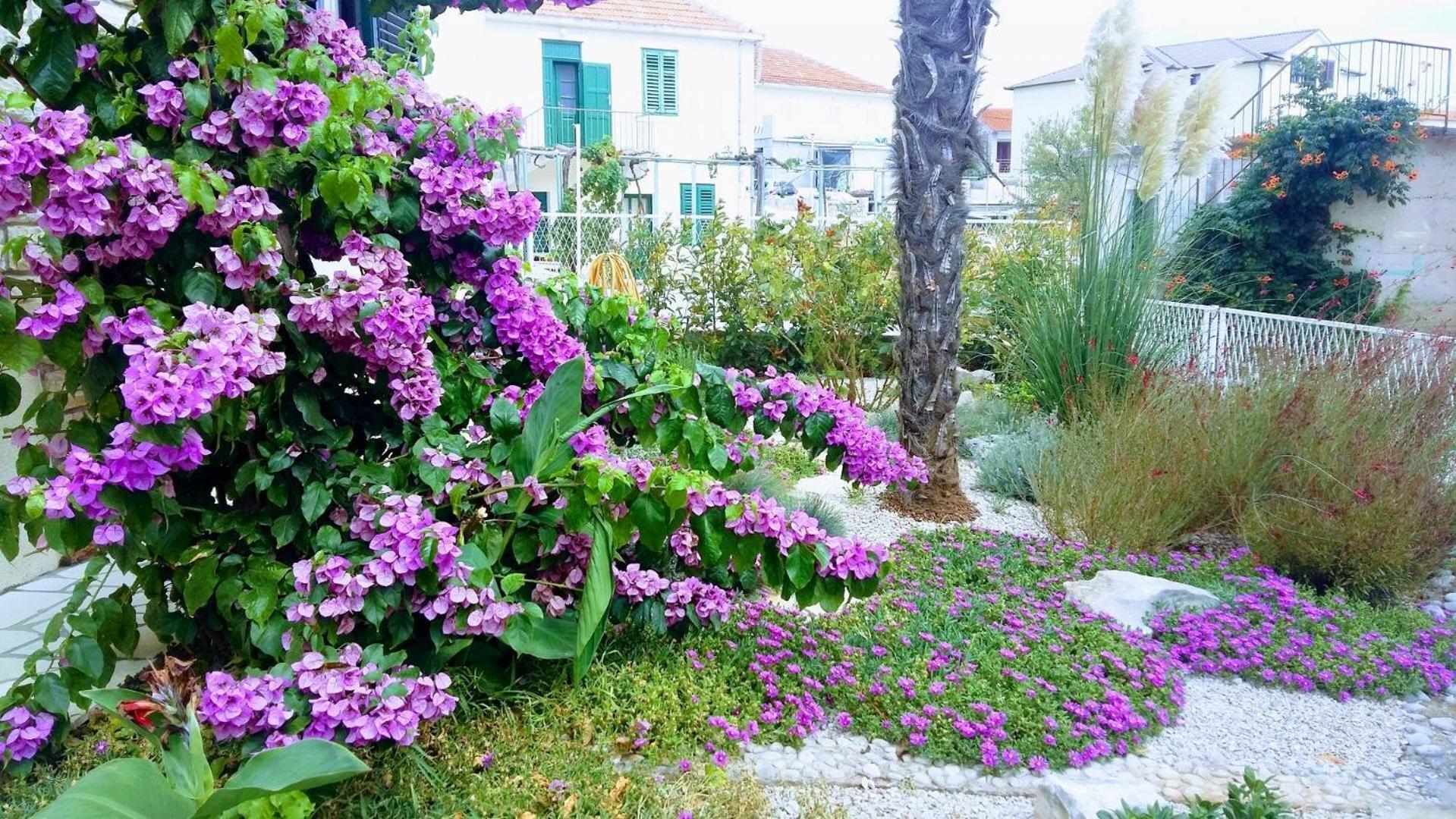 Apartments Mateo - 60M From Sea Primošten Kültér fotó